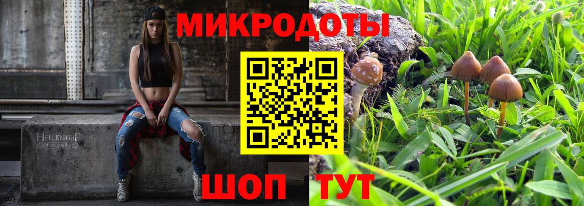 Рузаевка  Галлюциногенные грибы Psilocybine cubensis  Вход с VPN 